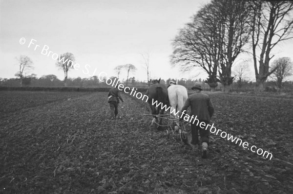 SOWING EARLY WHEAT